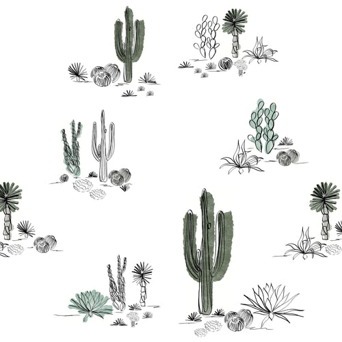 Hand drawn saguaro cacti and desert plants
