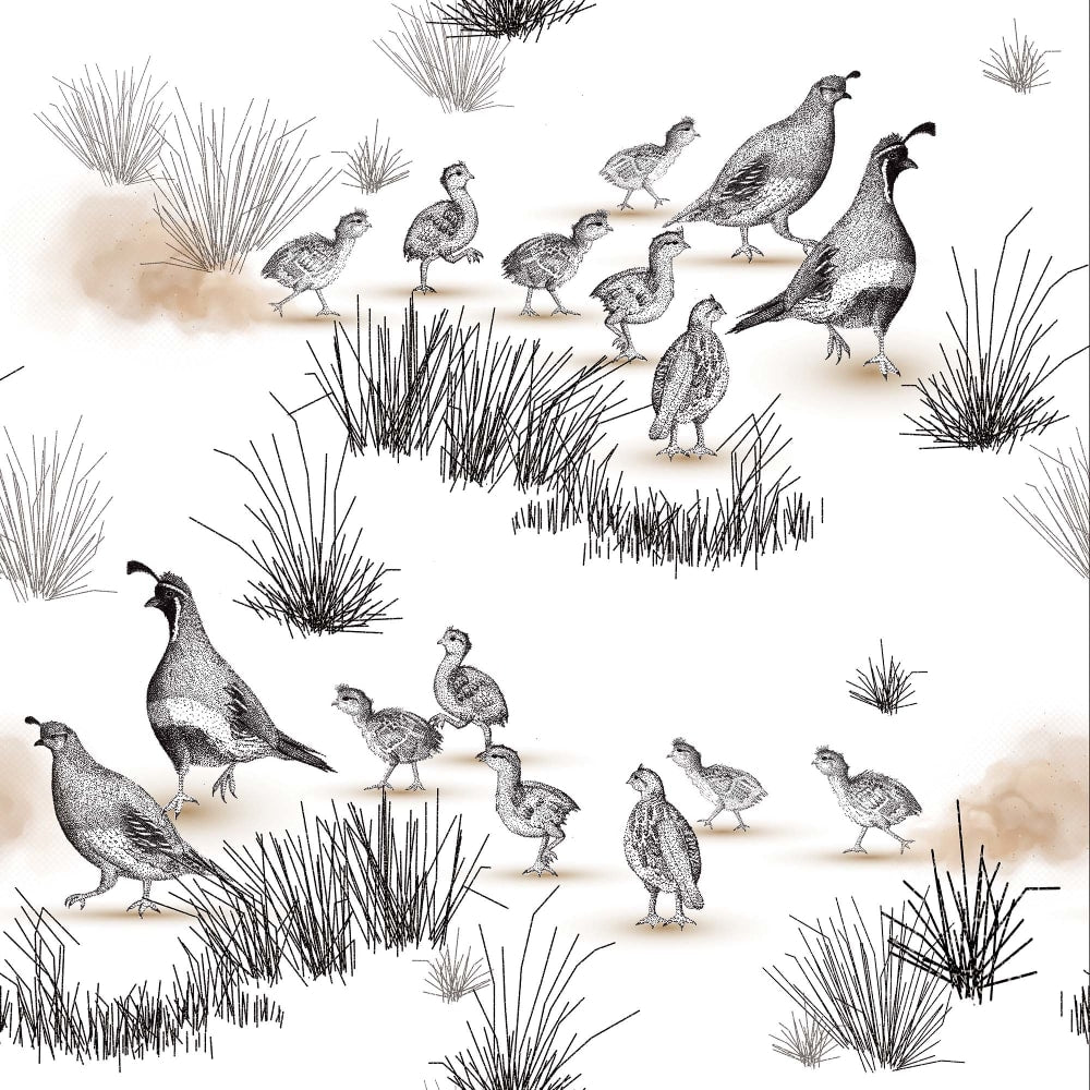 Gambeler&#39;s Quail hand drawn wallpaper pattern 