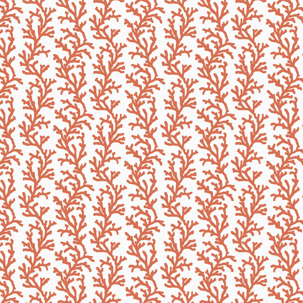 Sea Coral wallpaper pattern, coral on white