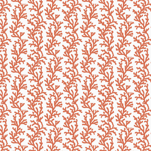Sea Coral wallpaper pattern, coral on white