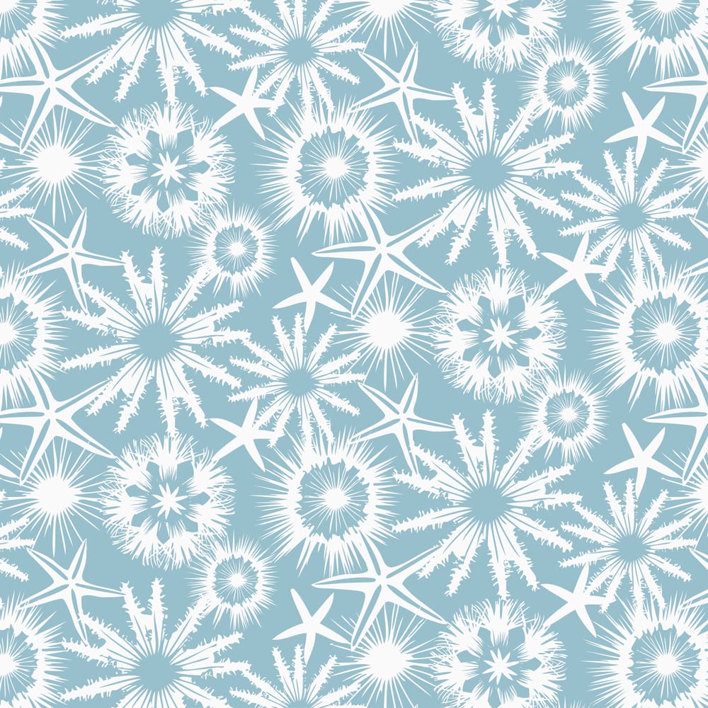 White starfish, sand dollars and sea urchins on a sea mist background