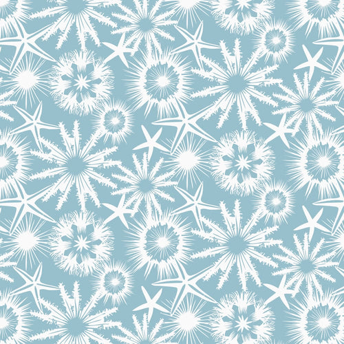 White starfish, sand dollars and sea urchins on a sea mist background