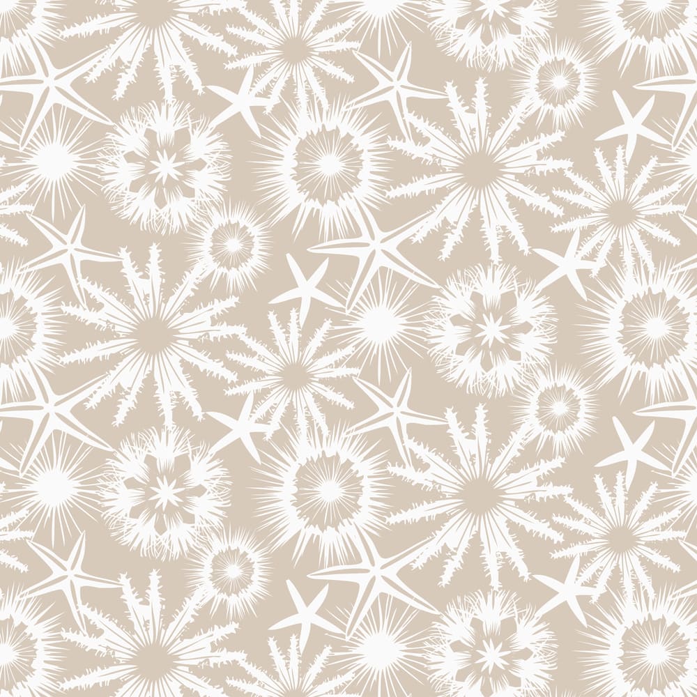 White starfish, sand dollars and sea urchins on a sand background