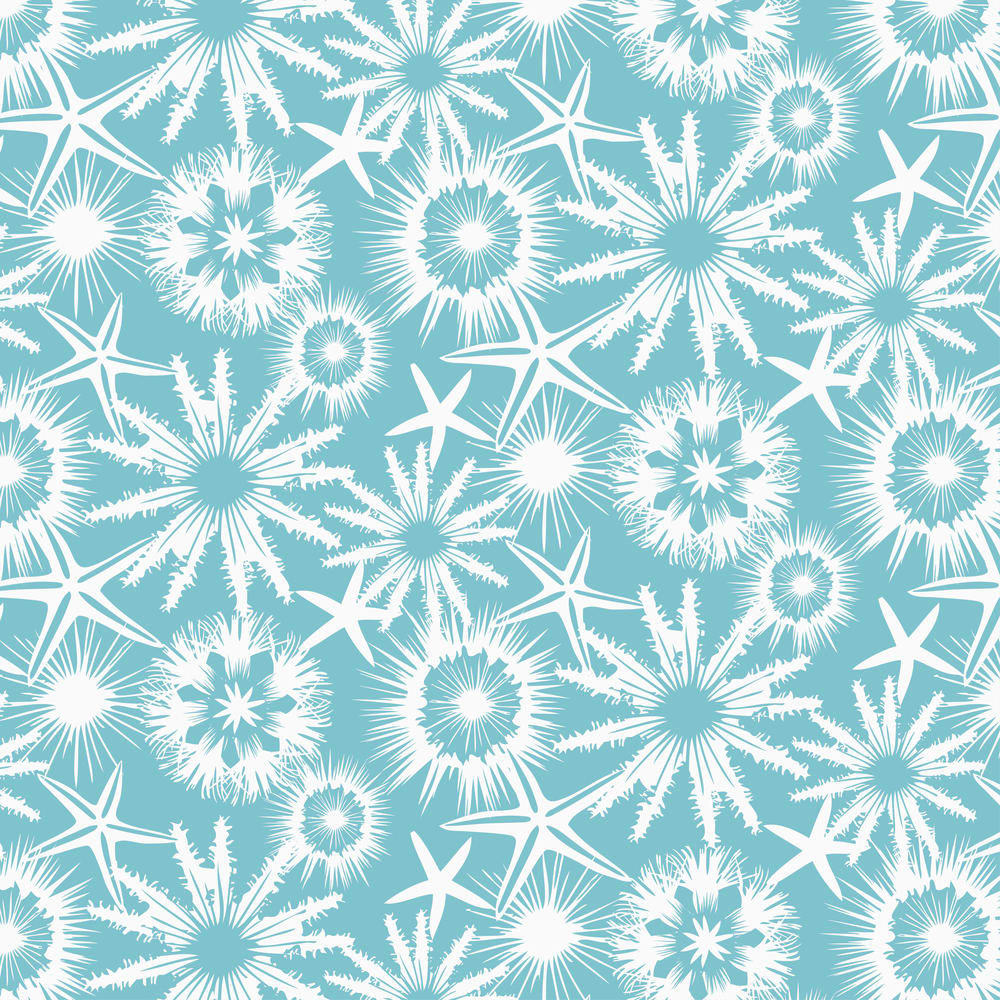 White starfish, sand dollars and sea urchins on a turquoise background