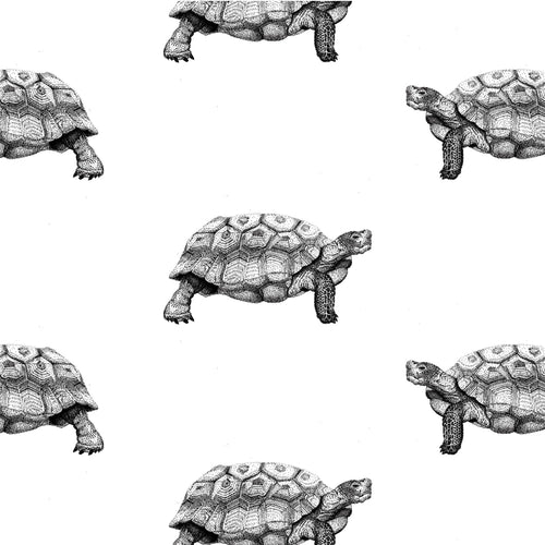 Hand drawn desert tortoises in a wallpaper pattern black and white